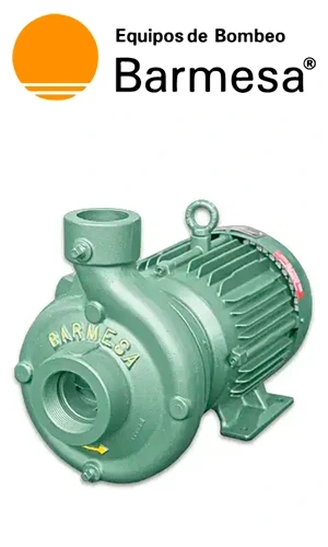 Bomba Sumergible Barnes Serie SS